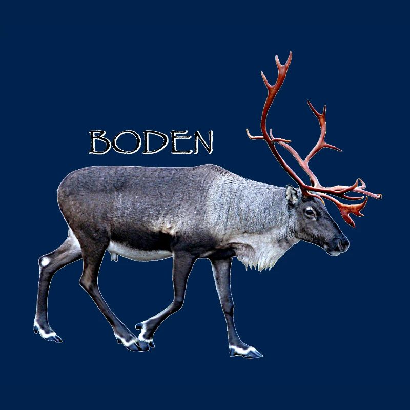 Boden