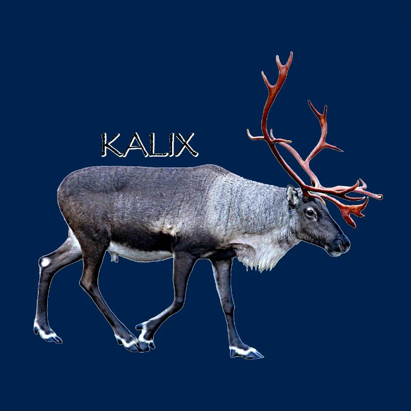 KALIX