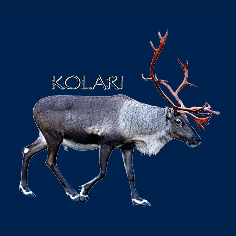 Kolari