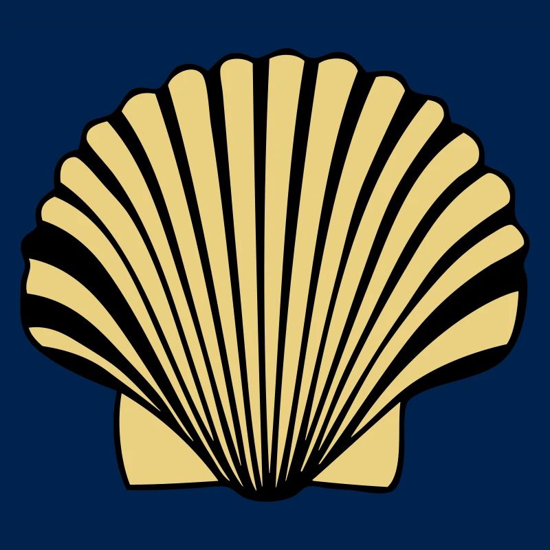 coquille saint jaques coquillage de Compostelle