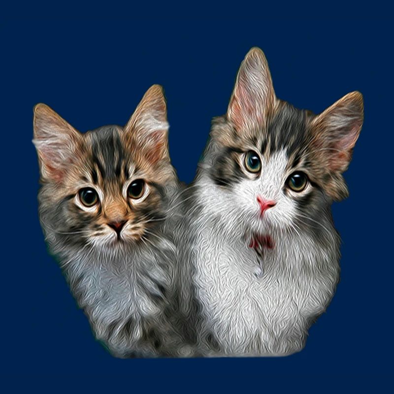 Chatons