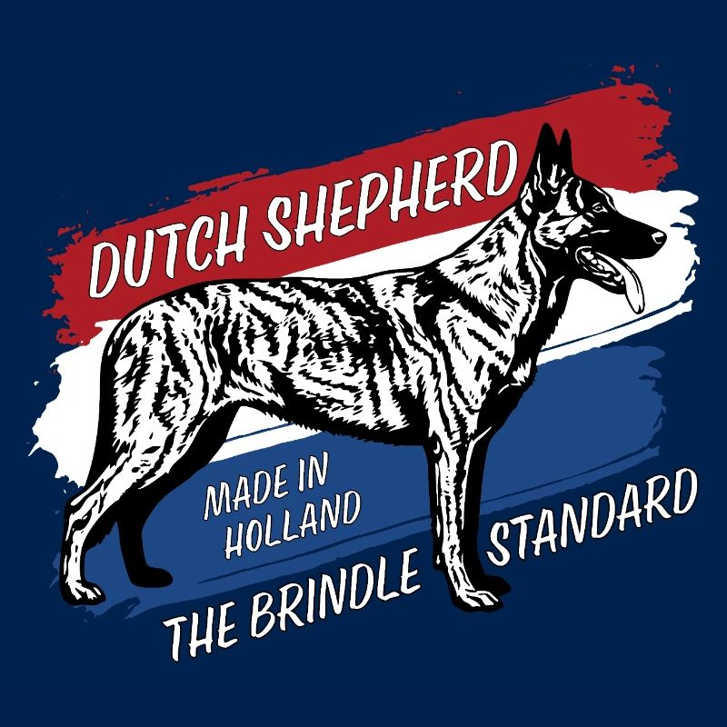 Dutch Shepherd – Dutchie