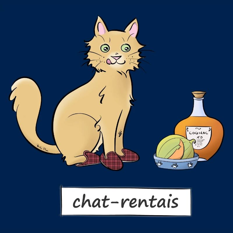 Chat-rentais
