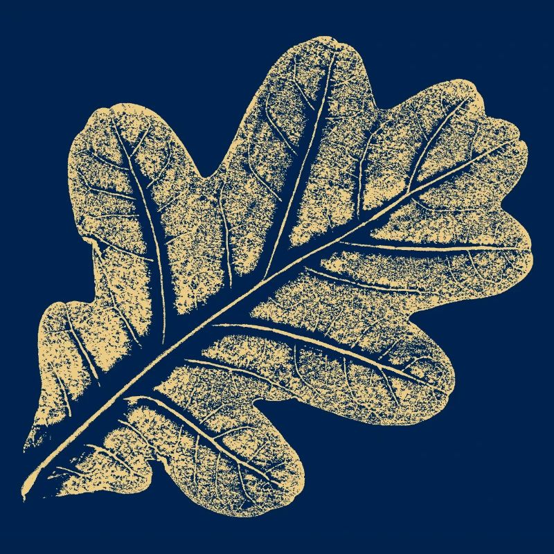 Blatt Eiche / Eichenblatt - Natur Design