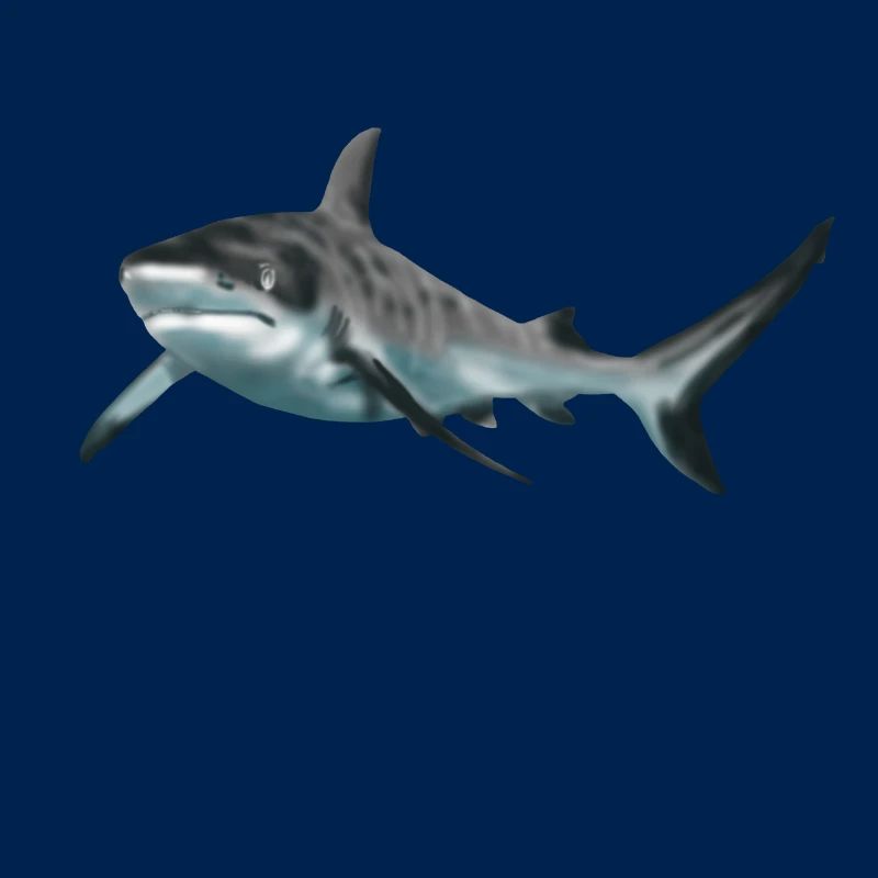 requin