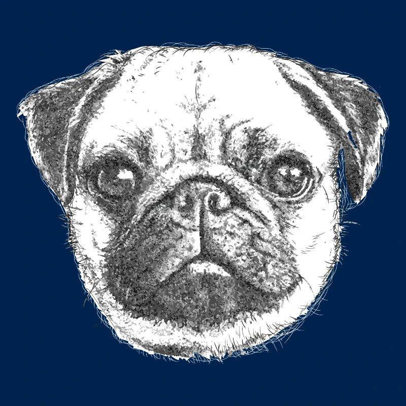 PUG | MOPS - DRAWN