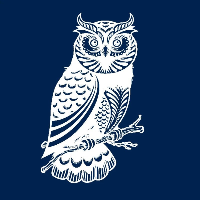 Pretty owl