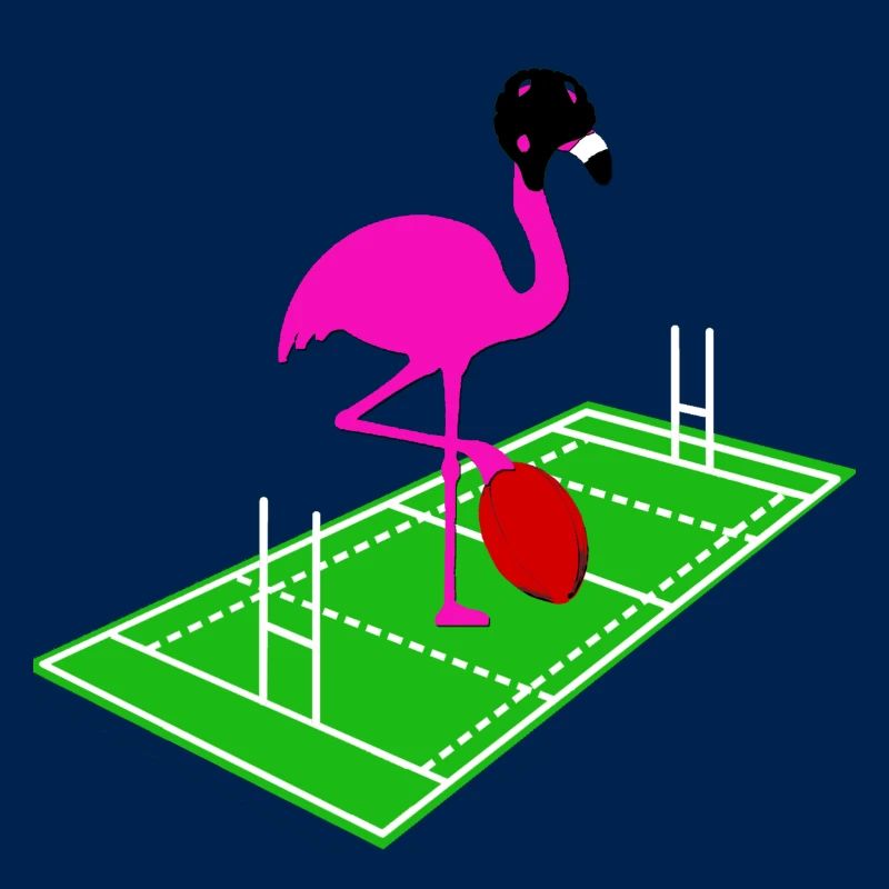 Flamingo de rugby