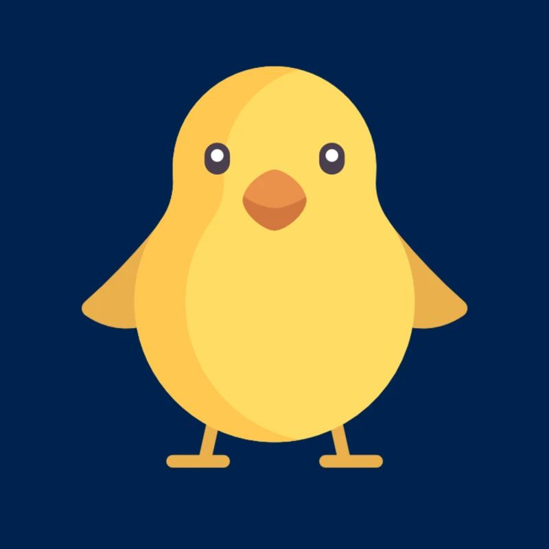poussin jaune