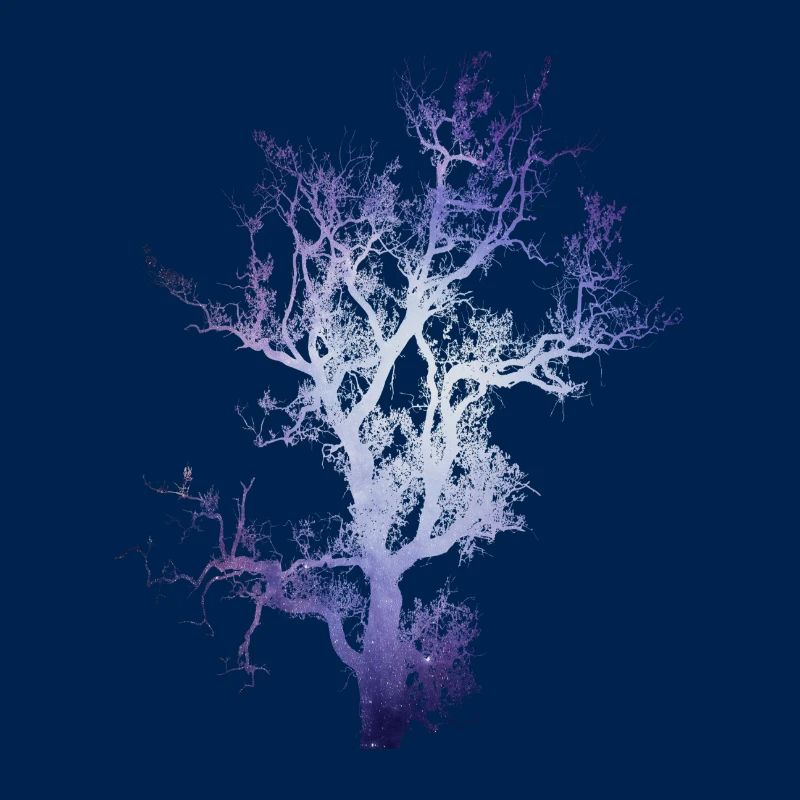 Space Baum
