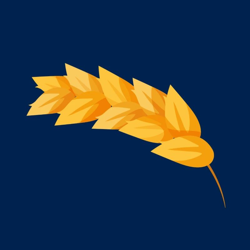 Corn grain corn