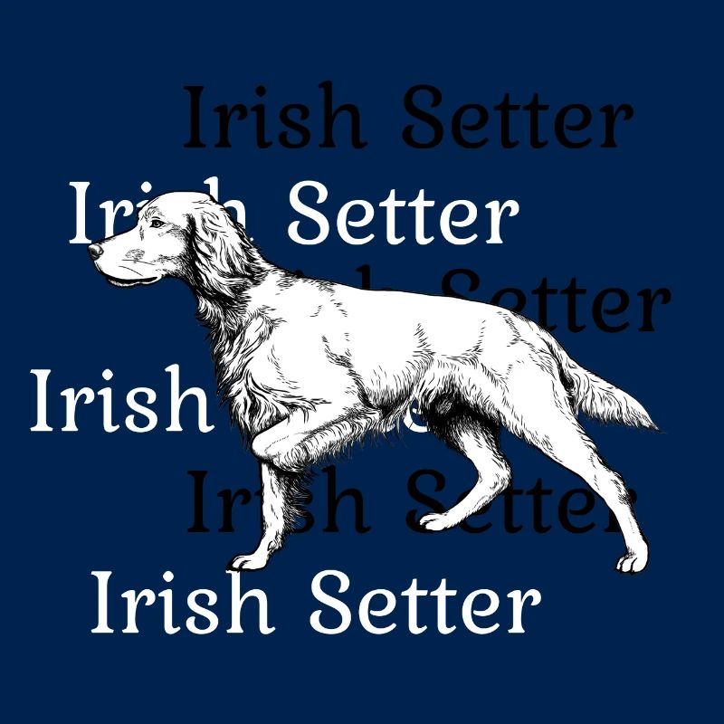 Irish Setter ci-dessus