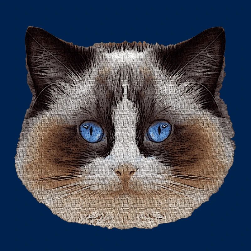 Ragdoll, samtpfote, Katzen design