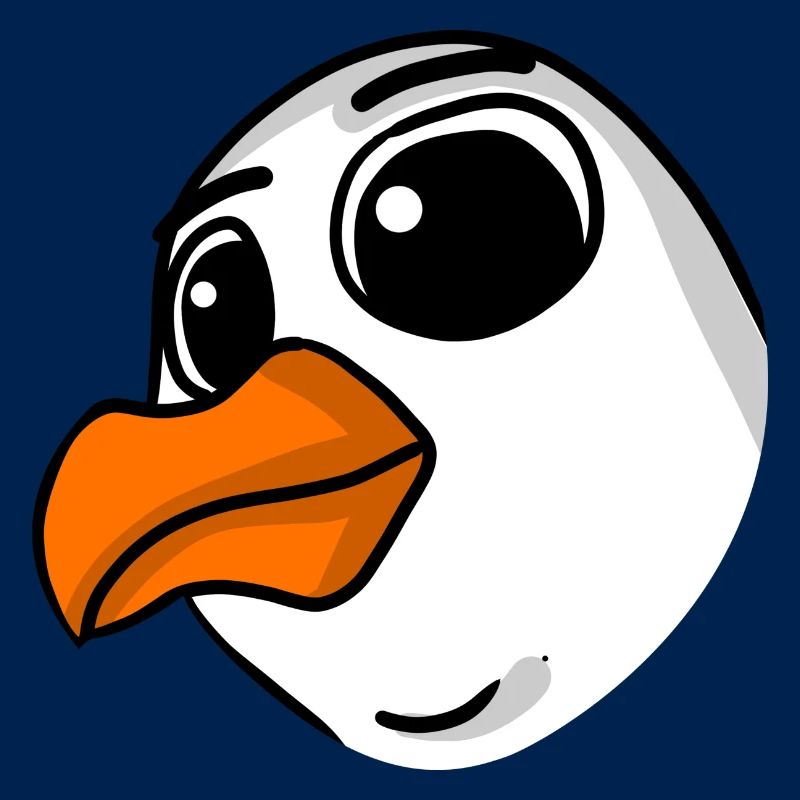 Möwe Kopf
