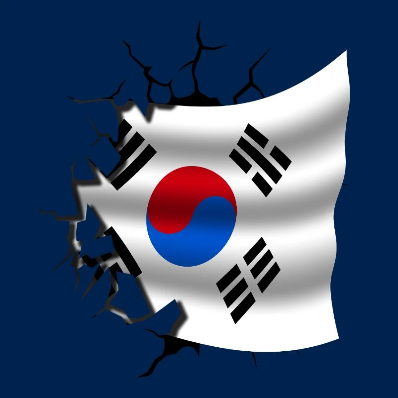 Drapeau de la Corée - Corée - Drapeau Broken Design