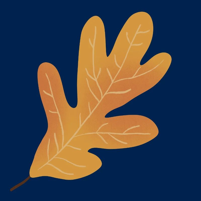 Herbst Eichenblatt Illustration