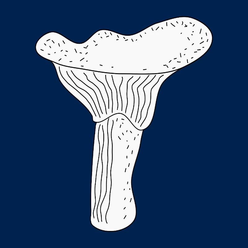 Girolles Champignons