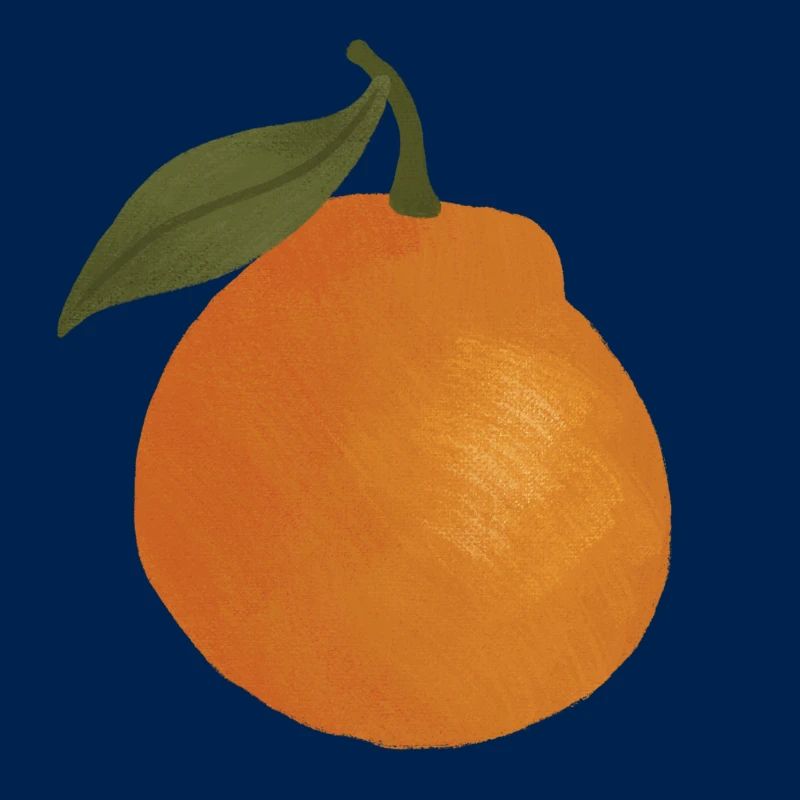 Sunlit Orange Sketch Tee
