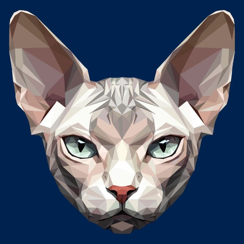 Sphynx Chat Sphynx Chat Chat Canadien Sphinx mignon
