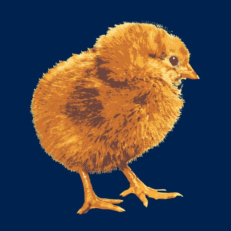 Fans de poulets - - Coq - Poussins