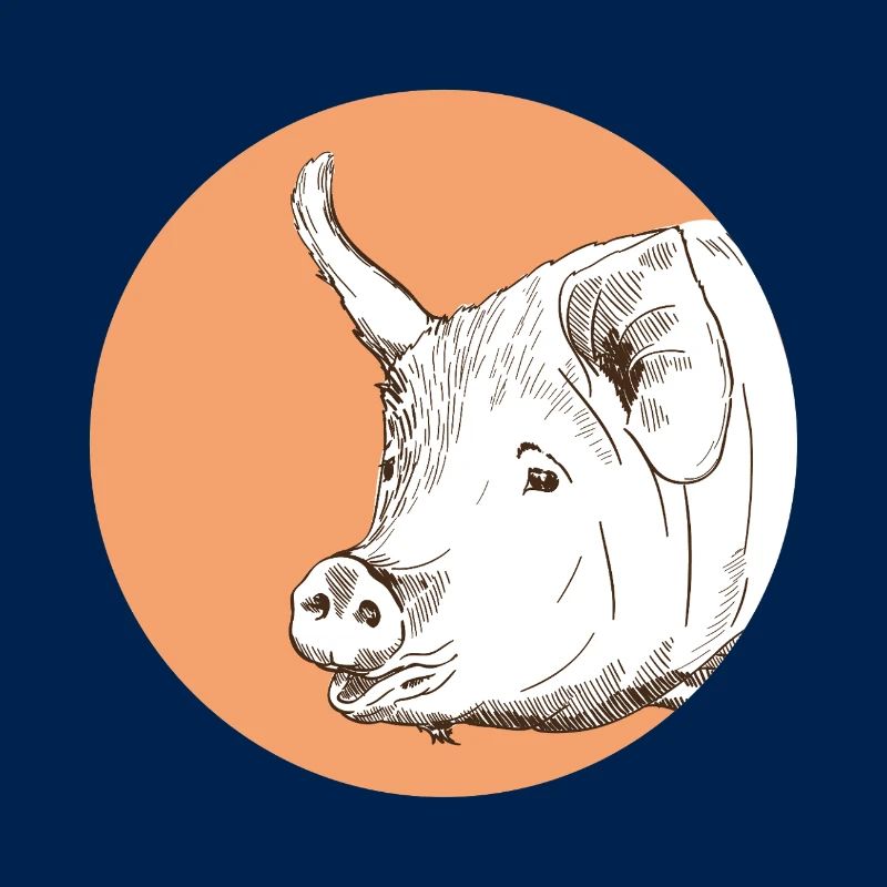 Pig
