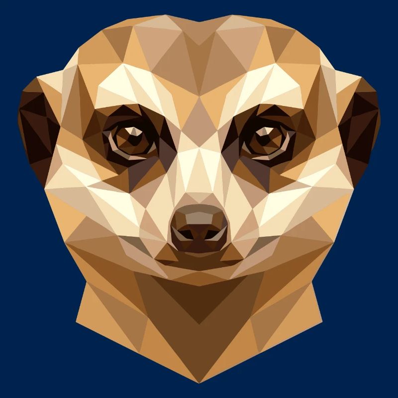 Suricate Suricate Douce Mangouste Suricate