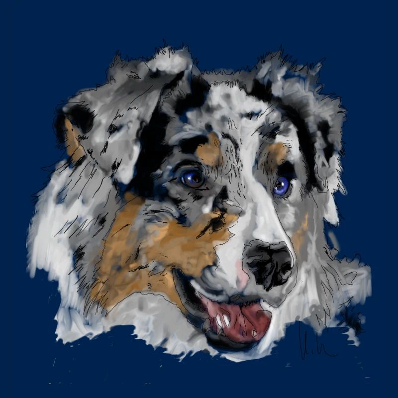 Australian Shepherd