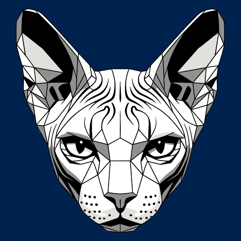 Sphynx Chat Sphynx Chat Chat Canadien Sphinx mignon