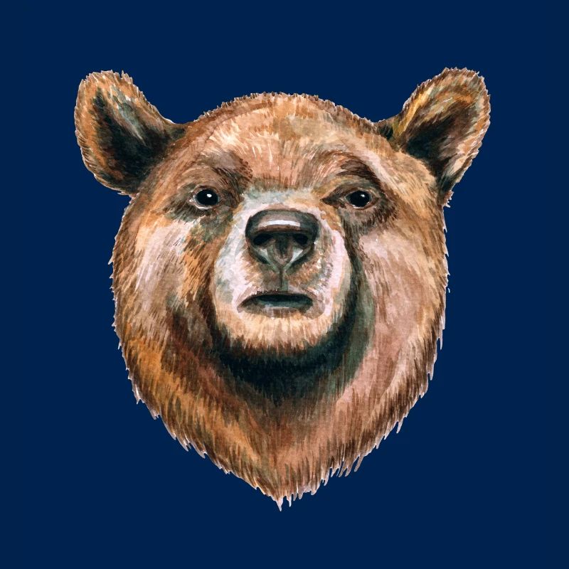 Bär