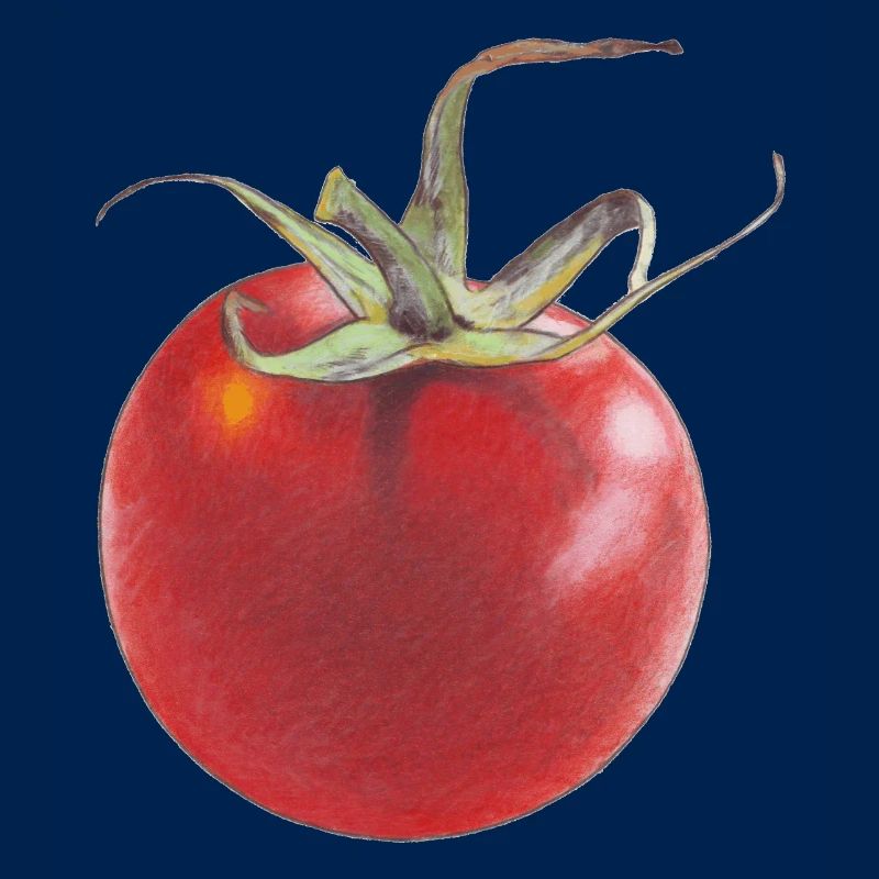 Tomate