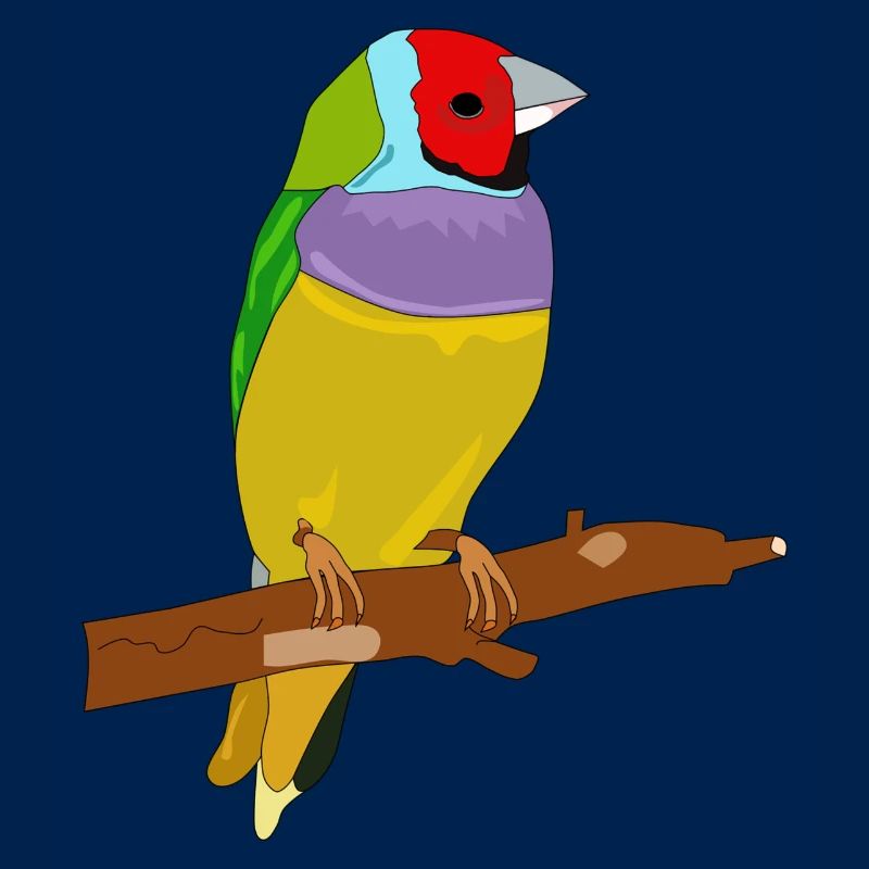 Bunter Vogel