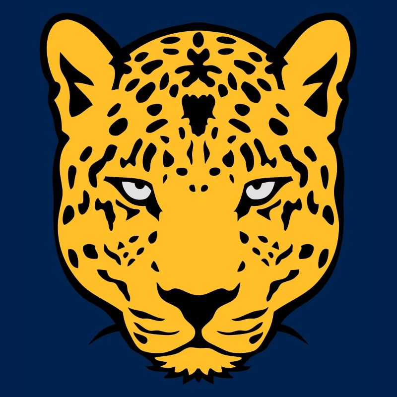 leopards wild animal 30