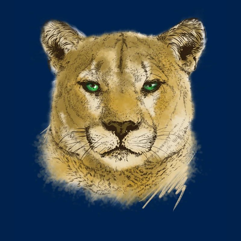 wildkatze