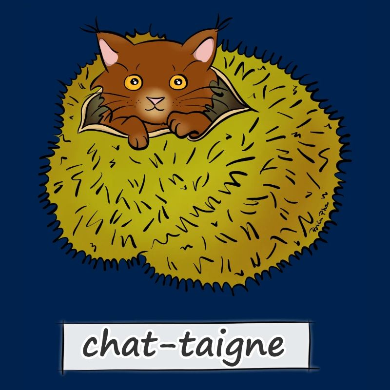 Spinnenkatze