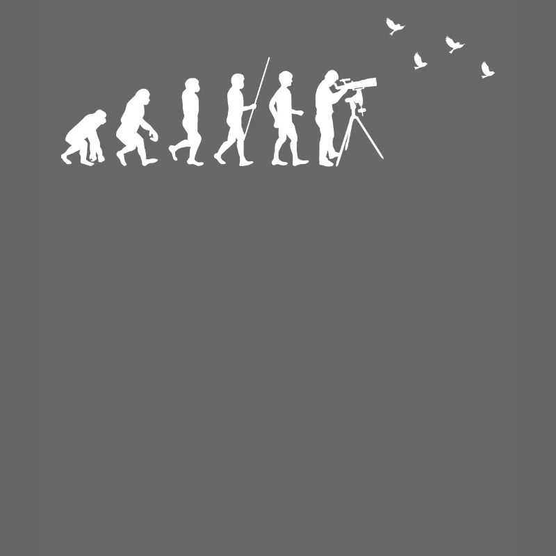 Birdwatching - Vogelbeobachtung - Evolution - fun