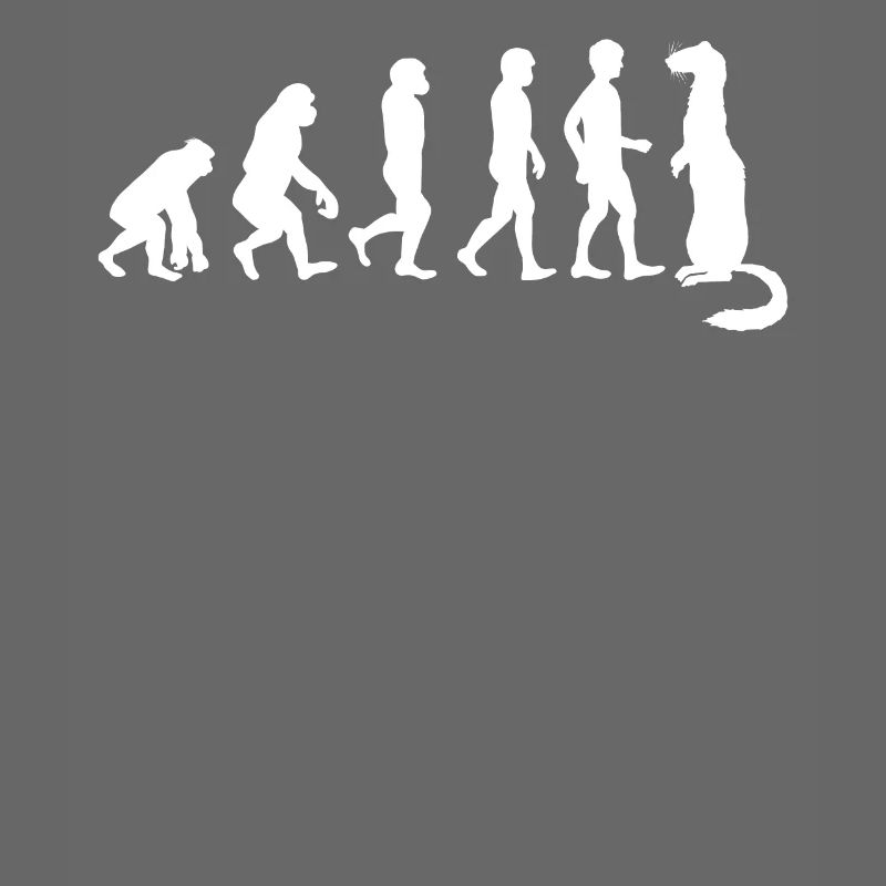 Ferret Friend - Ferret - Funny - Evolution