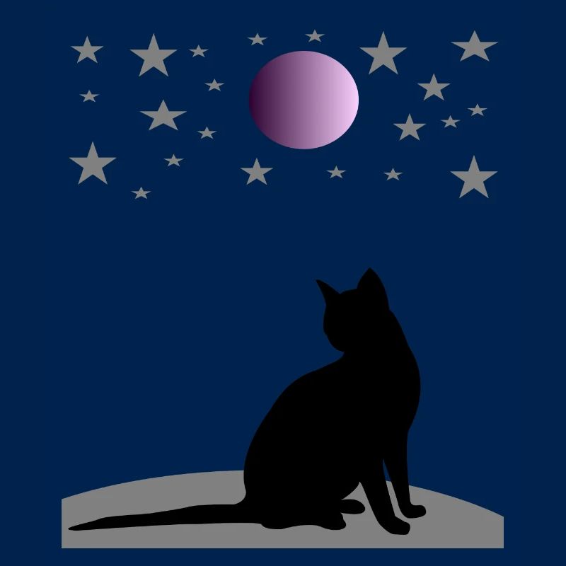 Ciel étoilé avec lune et chat