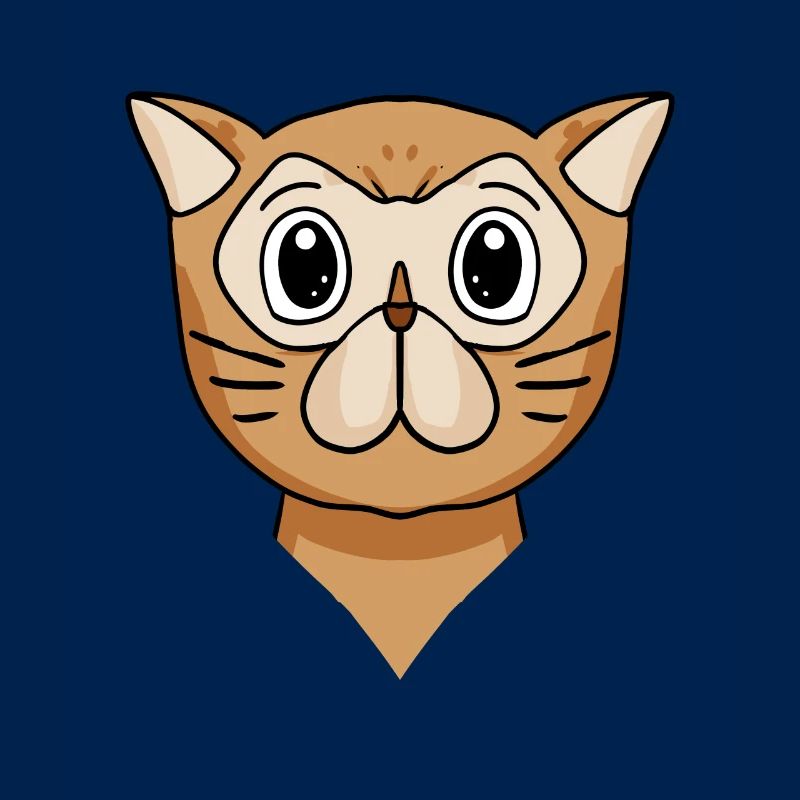 Chat persan Chat Race Chat