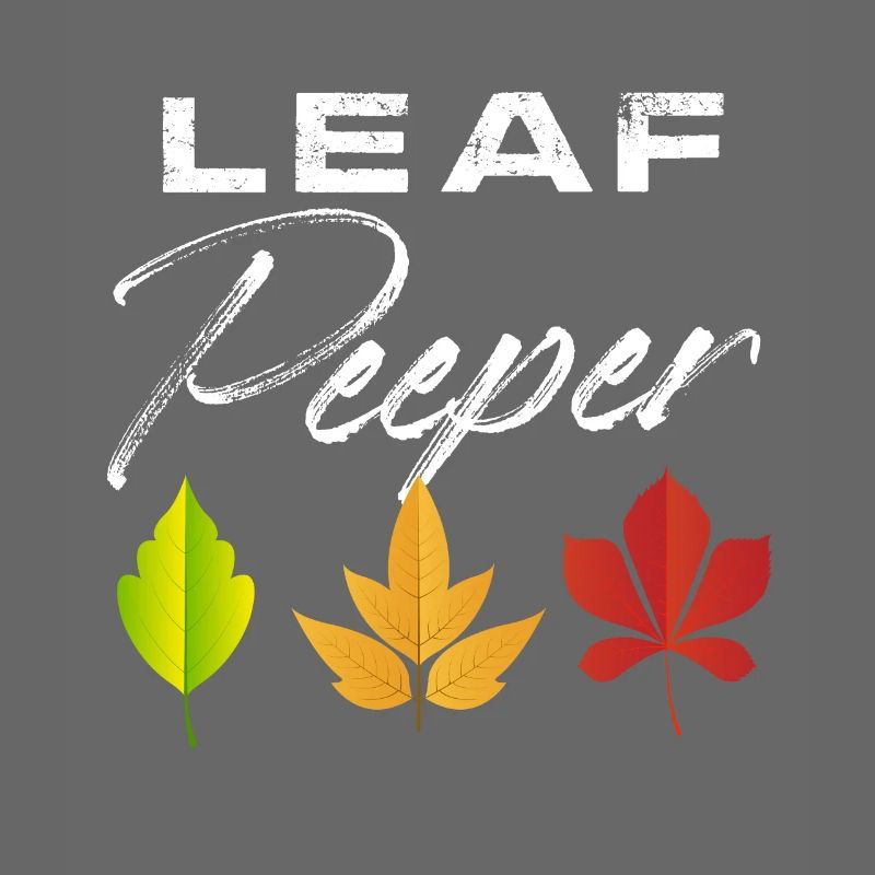 Leaf Peeper Fall Season Peeping Leaves