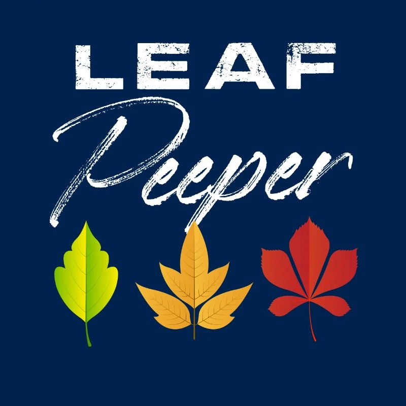 Leaf Peeper Automne saison Peeping feuilles