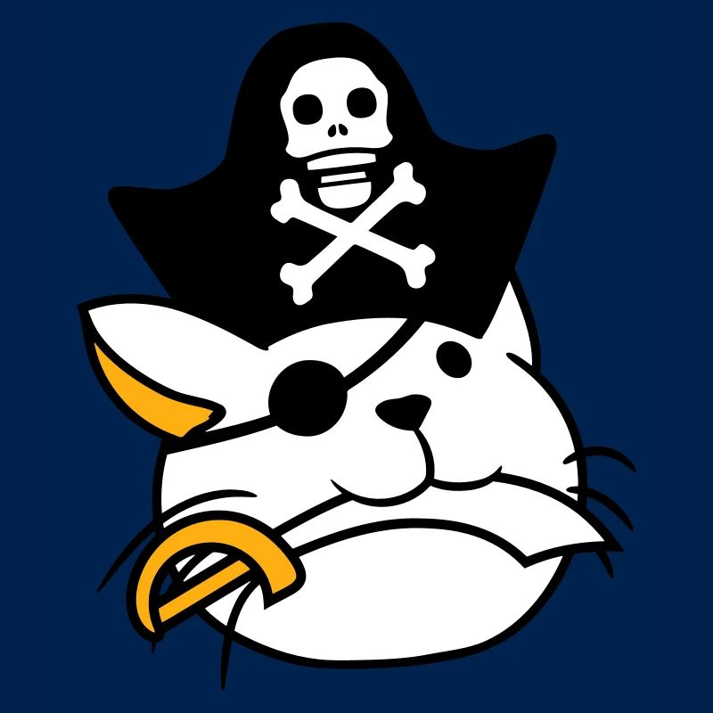 Cute Pirate Cat Buccaneer Eye Patch Hat Saber