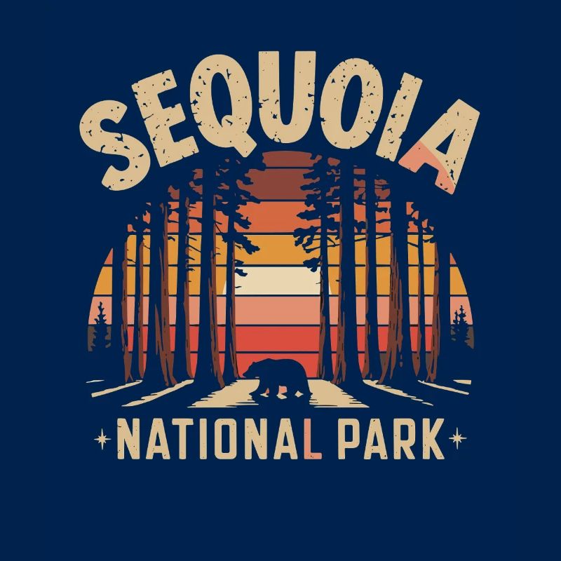 Sequoia National Park Sunset Bear Forest