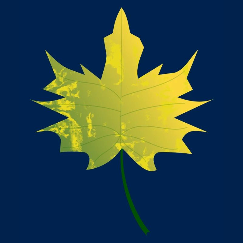 feuille