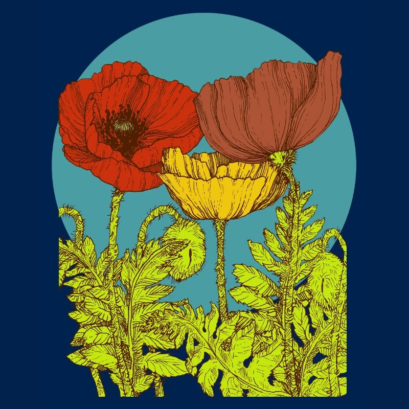 Coquelicots