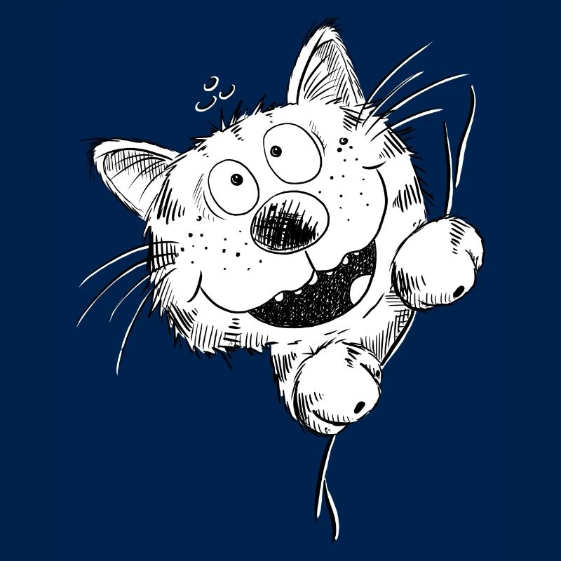 Funny cat laughs