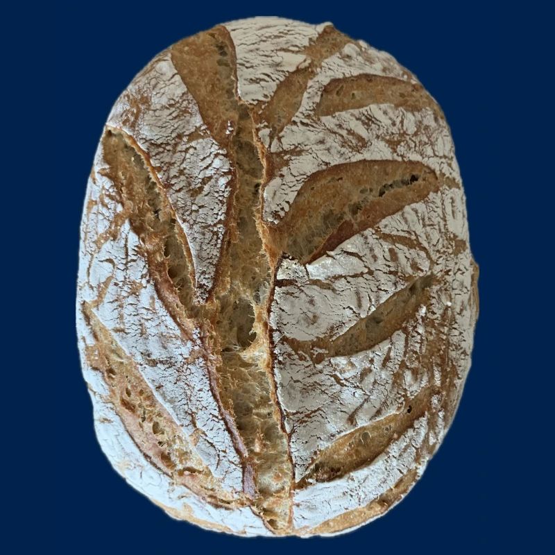 Rustic Sourdough Bread Illustration
