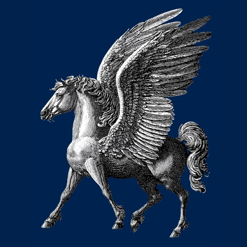 Winged Pegasus – Mythological Engraving