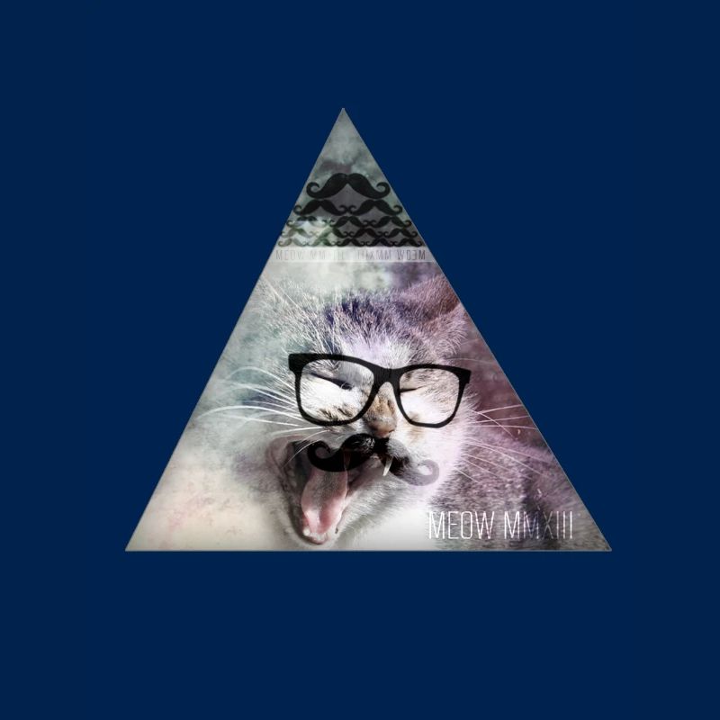 Triangle Monster Moustache Cat