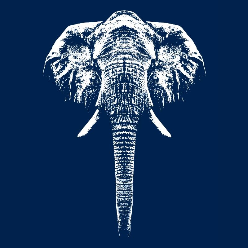 Eléphant / Portrait / Graphique