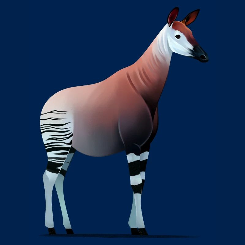Okapi